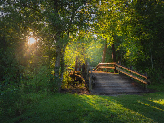 The ethereal woods of St. Bernard State Park in Louisiana, with a wooden bridge descending deeper into the forest.