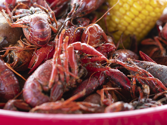 Crawfish Haven/Mrs. Rose’s Bed and Breakfast