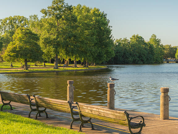 Lafreniere Park in Metairie