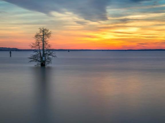 Caddo Lake