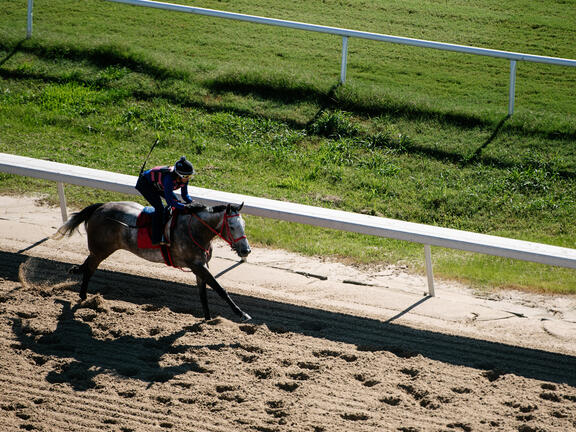 Horse racing at Evangeline Downs Racetrack &amp; Casino.