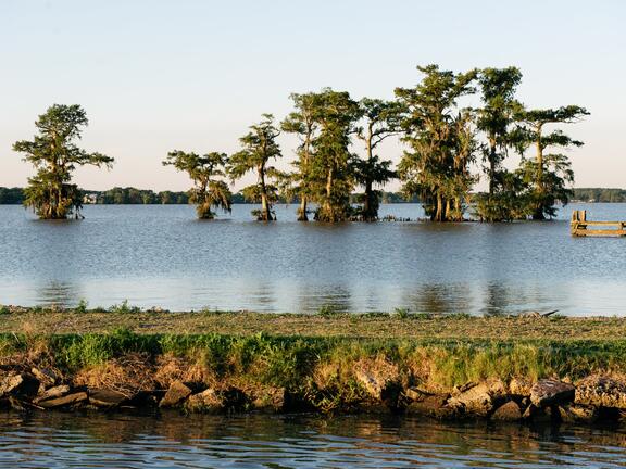An image of Lake Arthur in Louisiana.