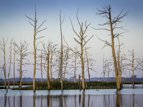 Outdoors views at Poverty Point Reservoir State Park in Delhi, Louisiana