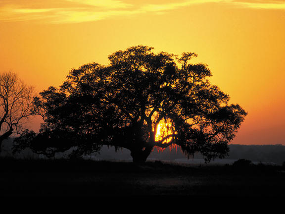 Sunsets in Kaplan LA