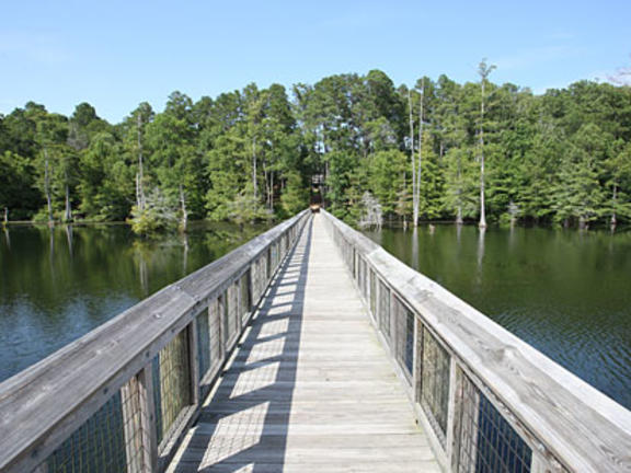 Lake Darbonne State Park