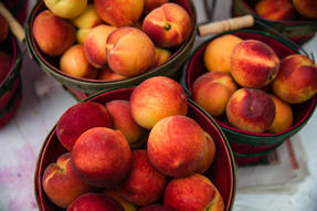 Fresh Peaches at the Ruston Peach Festival