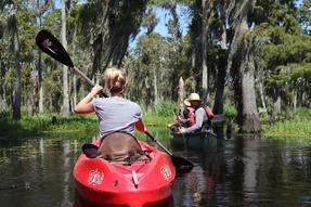 Beyond the Bayou Tours Photo