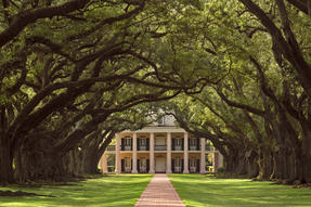 Oak Alley Plantation Photo