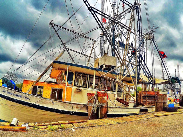 Delcambre Shrimp Festival Photo