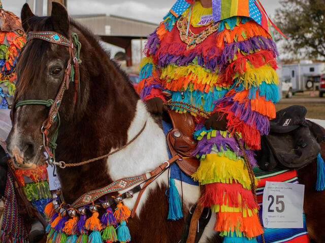 mardi gras 2025 in monroe louisiana