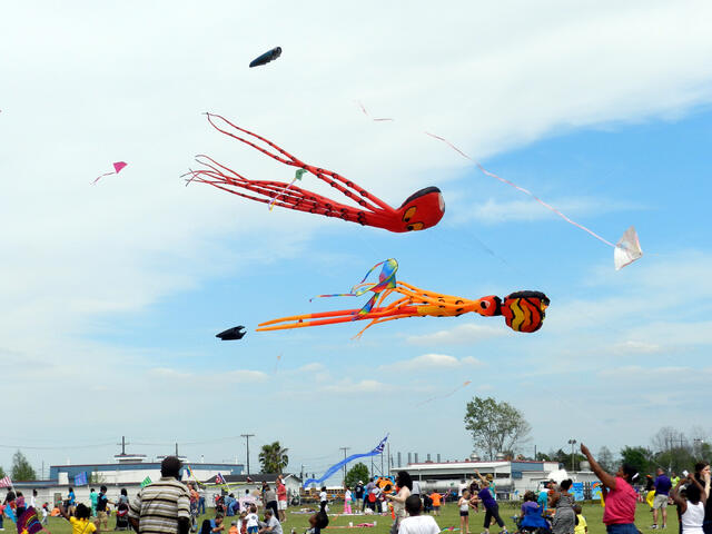 Kite Fest Louisiane' Photo 2