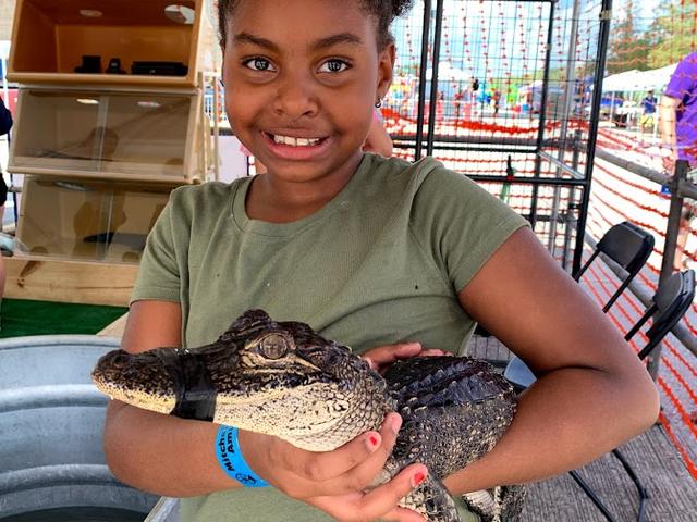 Alligator Festival Photo