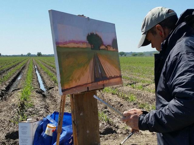 Painting Sugar Field