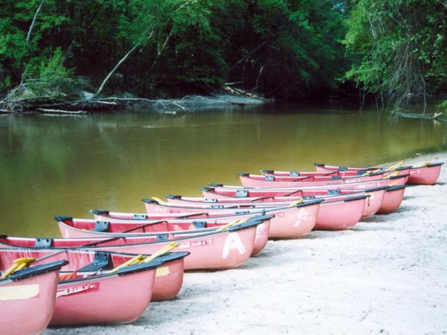 Ouiska Chitto Canoeing