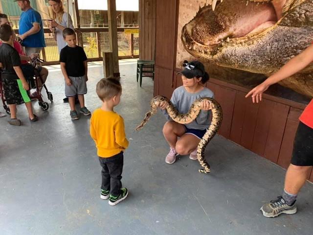 Child looking at snake