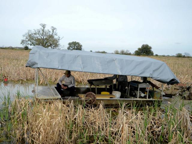 Crawfish Boat