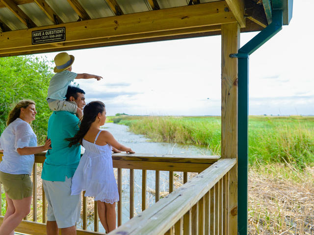 Family viewing wildlife at Wetland Walkway