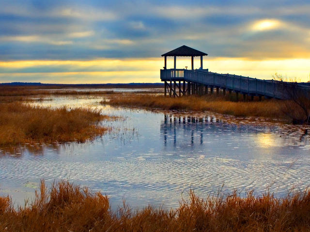 Marsh Sunrise on the Creole Nature Trail