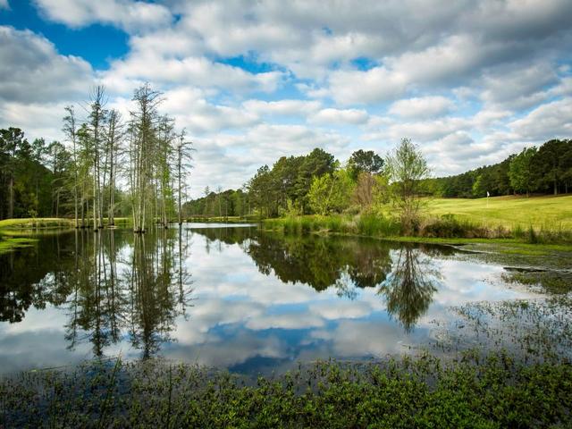 Cypress Bend Golf Resort, Spa & Conference Center Photo 5