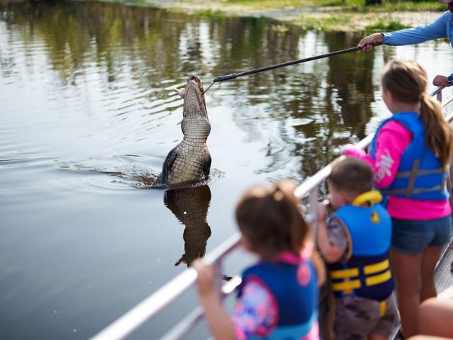 Annie Miller's Son's Swamp and Marsh Tours, Inc. Photo 2