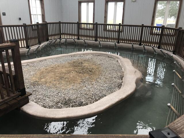 new pond