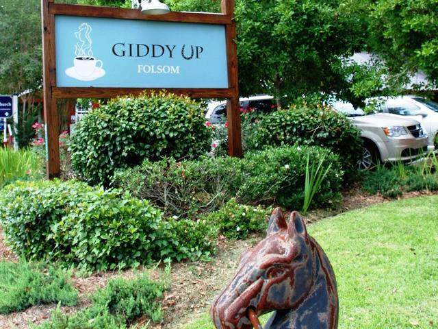 The Giddy Up Photo