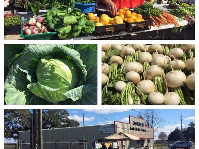 GLC Farmers Market Collage