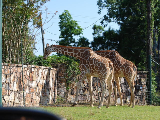 Front Gate