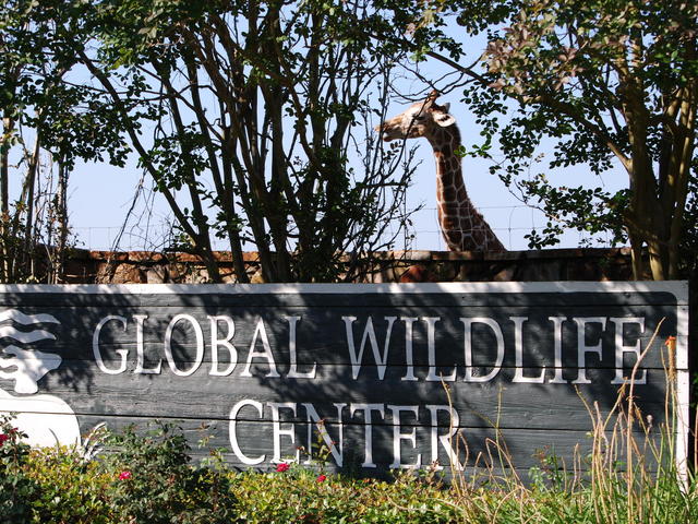 Entrance to Global Wildlife