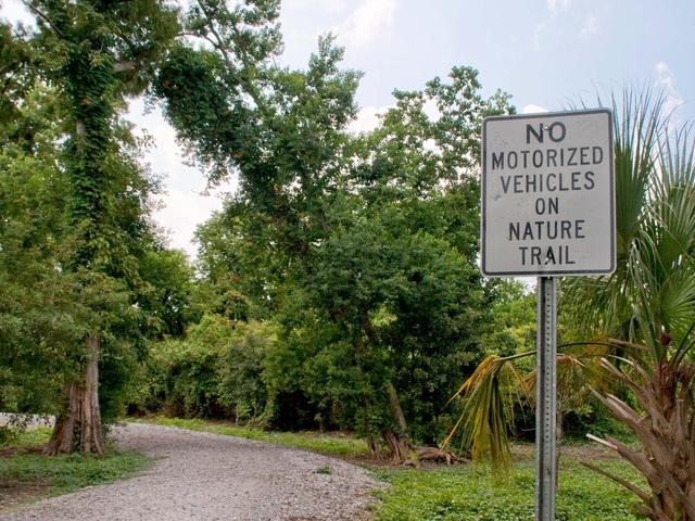 Enjoy nature's beauty