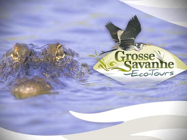 Grosse Savanne Eco-Tours Photo