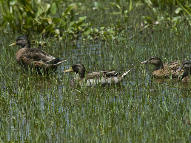 Cypress Nature Study Center Photo