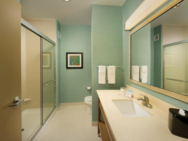 Hampton Inn Lake Charles Photo 5