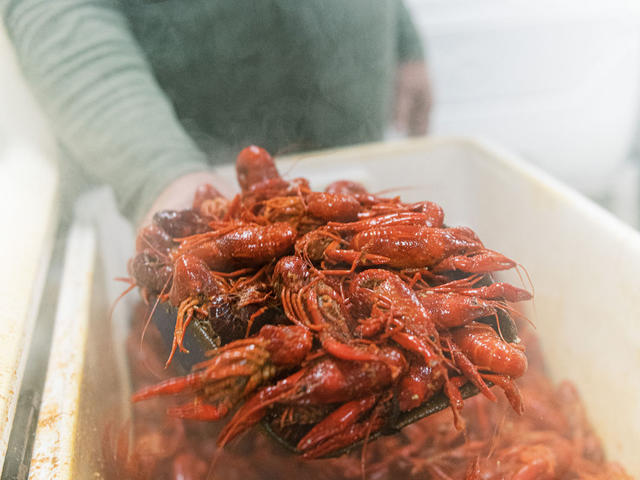 Bayou Country Crawfish Trail