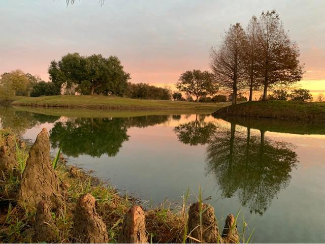 The Island in Plaquemine Photo