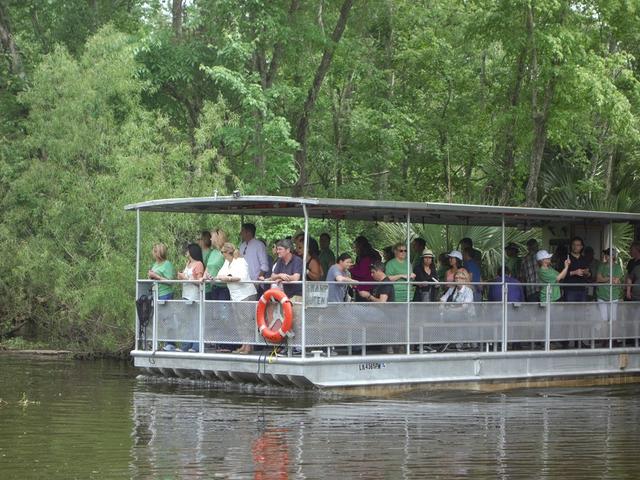 Jean Lafitte Swamp & Airboat Tours Photo 7