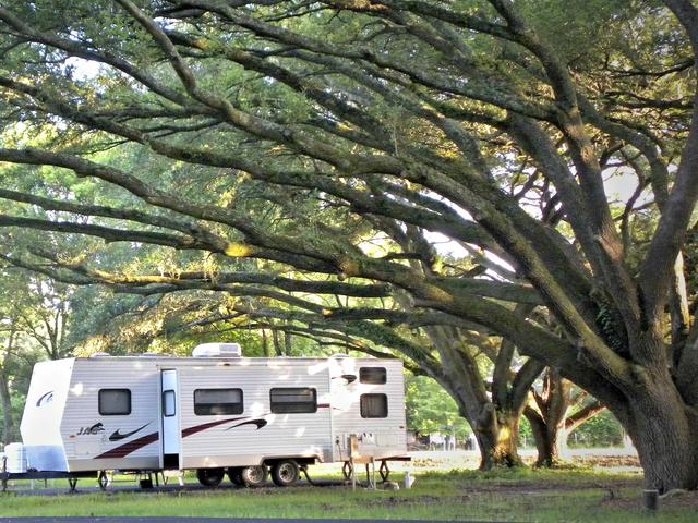 Evangeline Oaks RV Park Photo