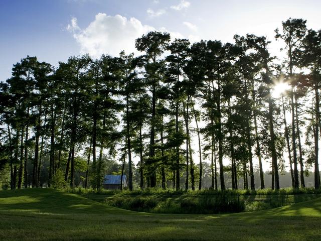 The Atchafalaya Golf Course at Idlewild Photo 2