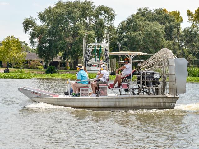 Joieful - Swamp Tour Photo 4