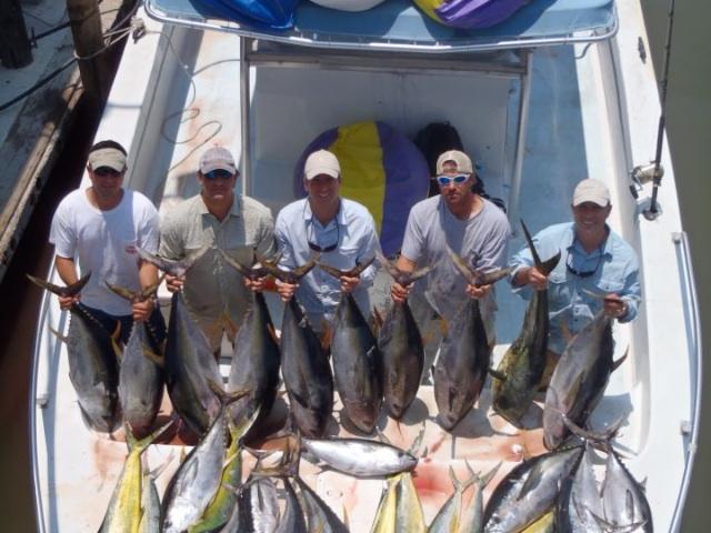 www.fishcommander.com (yellowfin tuna fishing, dorado fishing, wahoo fishing with fish commander charters