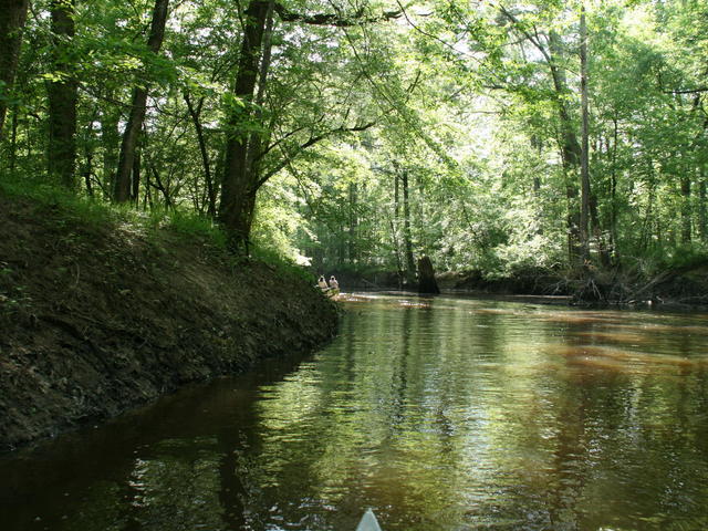 Saline Bayou on the Winn Ranger District