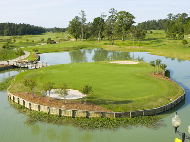 Koasati Pines at Coushatta Photo