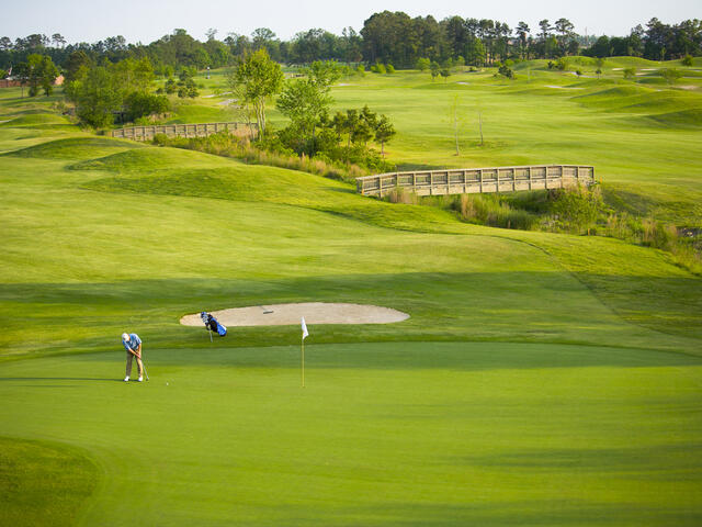 Koasati Pines at Coushatta Photo 3