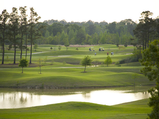 Koasati Pines at Coushatta Photo 2