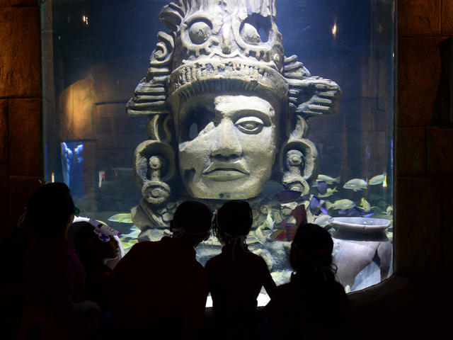 Great Maya Reef - King Copan