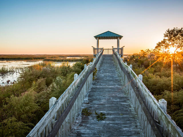 Lacassine National Wildlife Refuge Photo