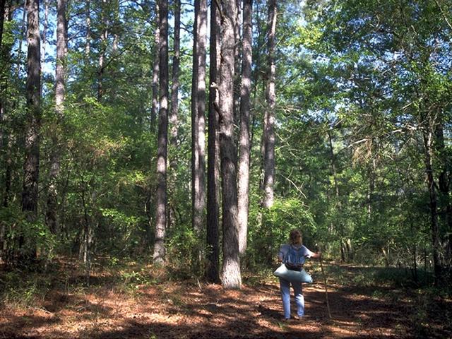 Enjoy and experience nature on one of many of the trails at Lake Bistineau State Park. Photo