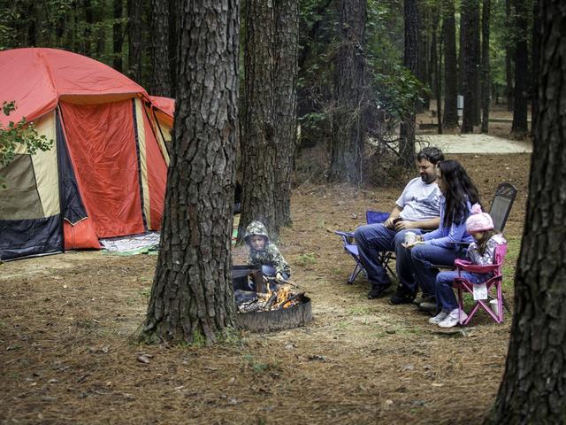 Quality family time in the great outdoors, at Lake D'Arbonne State Park Photo