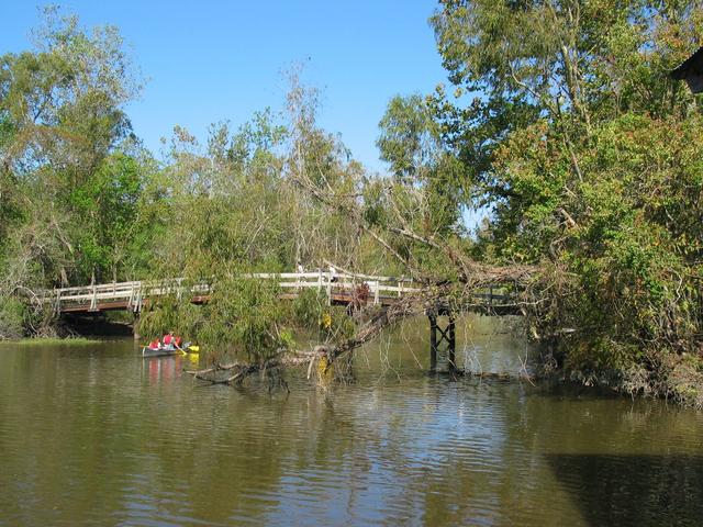 Lake Fausse Pointe State Park Photo