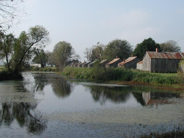 Laurel Valley Village Plantation Photo 2